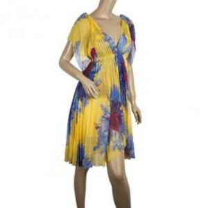 New Diane Von Fursetenberg DVF Silk Jasper Dress 2